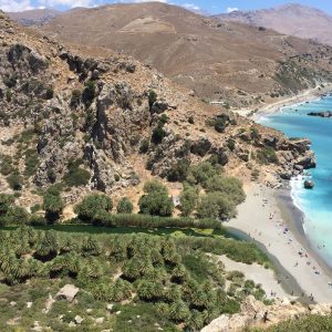 palmenstrand-preveli palmenstrand-preveli